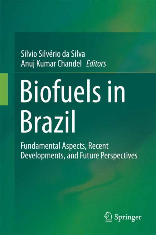 Cover of the book Biofuels in Brazil by , Springer International Publishing