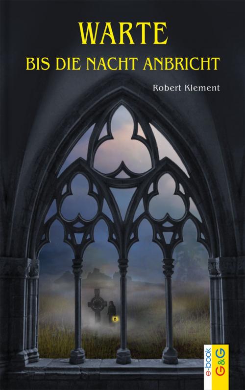 Cover of the book Warte, bis die Nacht anbricht by Robert Klement, G&G Verlag