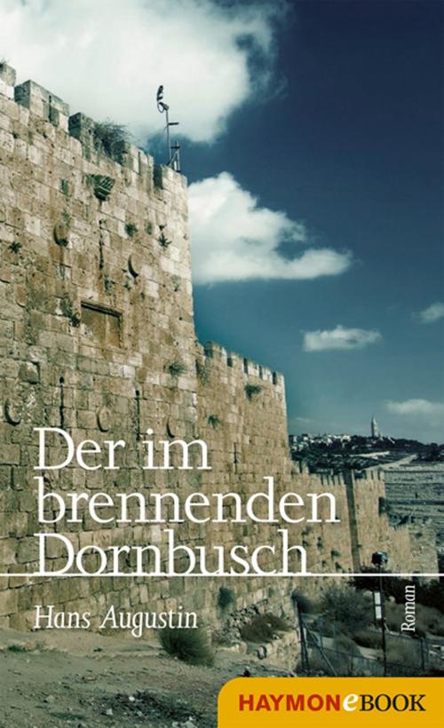 Cover of the book Der im brennenden Dornbusch by Hans Augustin, Haymon Verlag