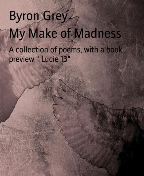 Cover of the book My Make of Madness by Byron Grey, BookRix