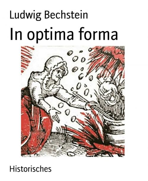 Cover of the book In optima forma by Ludwig Bechstein, BookRix