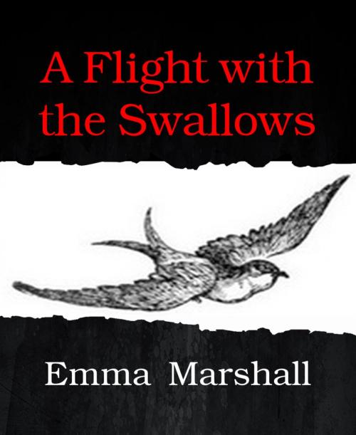 Cover of the book A Flight with the Swallows by Emma Marshall, BookRix