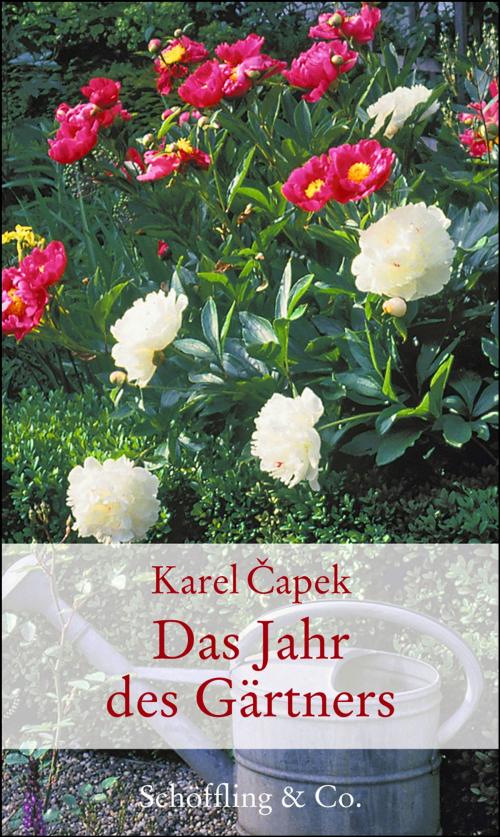 Cover of the book Das Jahr des Gärtners by Karel Čapek, Anna Luchs, Marion Nickig, Schöffling & Co.