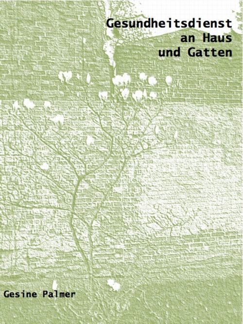Cover of the book Gesundheitsdienst an Haus und Gatten by Gesine Palmer, BoD E-Short