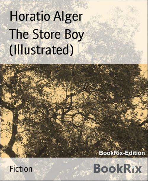 Cover of the book The Store Boy (Illustrated) by Horatio Alger, BookRix