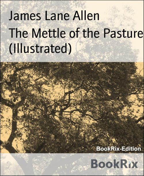 Cover of the book The Mettle of the Pasture (Illustrated) by James Lane Allen, BookRix