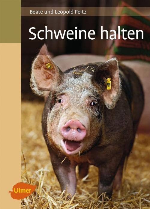 Cover of the book Schweine halten by Beate Peitz, Leopold Peitz, Verlag Eugen Ulmer