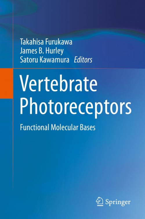 Cover of the book Vertebrate Photoreceptors by , Springer Japan