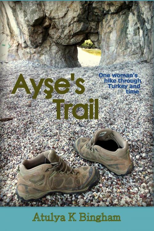 Cover of the book Ayse's Trail by Atulya K Bingham, Atulya K Bingham