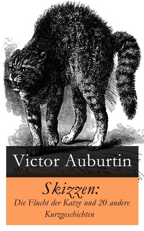 Cover of the book Skizzen: Die Flucht der Katze und 20 andere Kurzgeschichten by Victor Auburtin, e-artnow