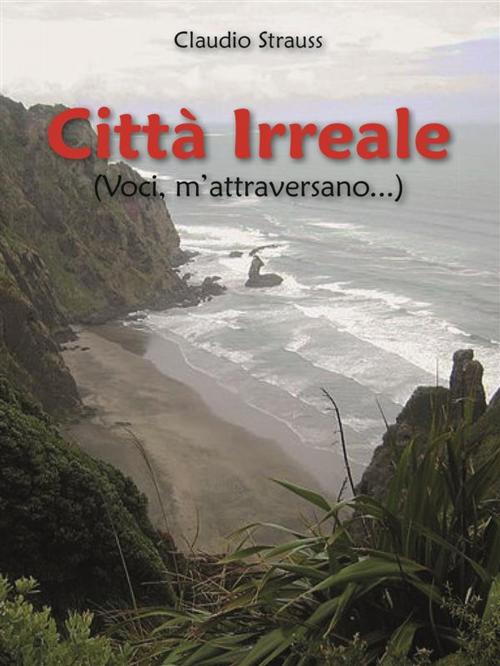 Cover of the book Città Irreale (Voci, m'attraversano...) by Claudio Strauss, Youcanprint
