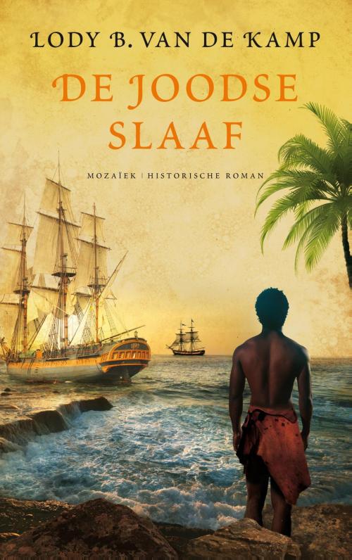 Cover of the book De Joodse slaaf by Lody van de Kamp, Jeanette Wilbrink-Donktersteeg, VBK Media
