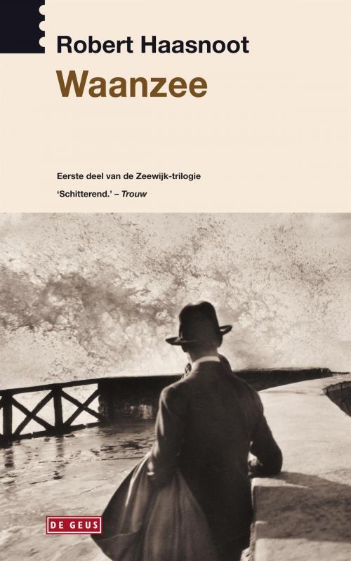 Cover of the book Waanzee by Robert Haasnoot, Singel Uitgeverijen