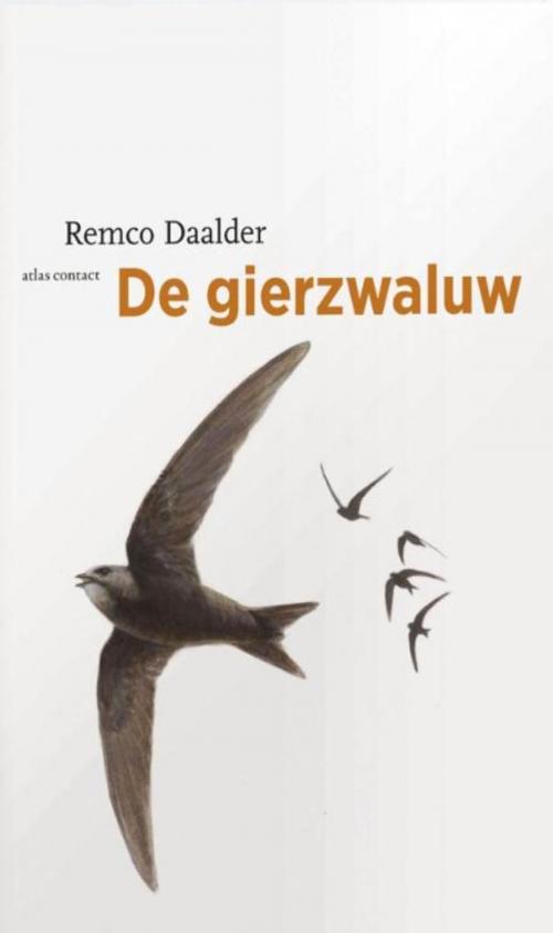 Cover of the book De gierzwaluw by Remco Daalder, Atlas Contact, Uitgeverij