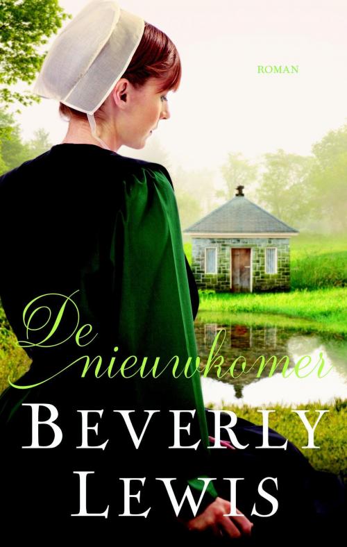 Cover of the book De nieuwkomer by Beverly Lewis, VBK Media
