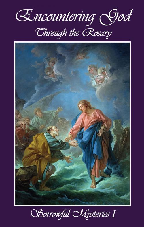 Cover of the book Encountering God Through Rosary by Rodney Dominicus S. K. Chua, Faris Digital Solutions