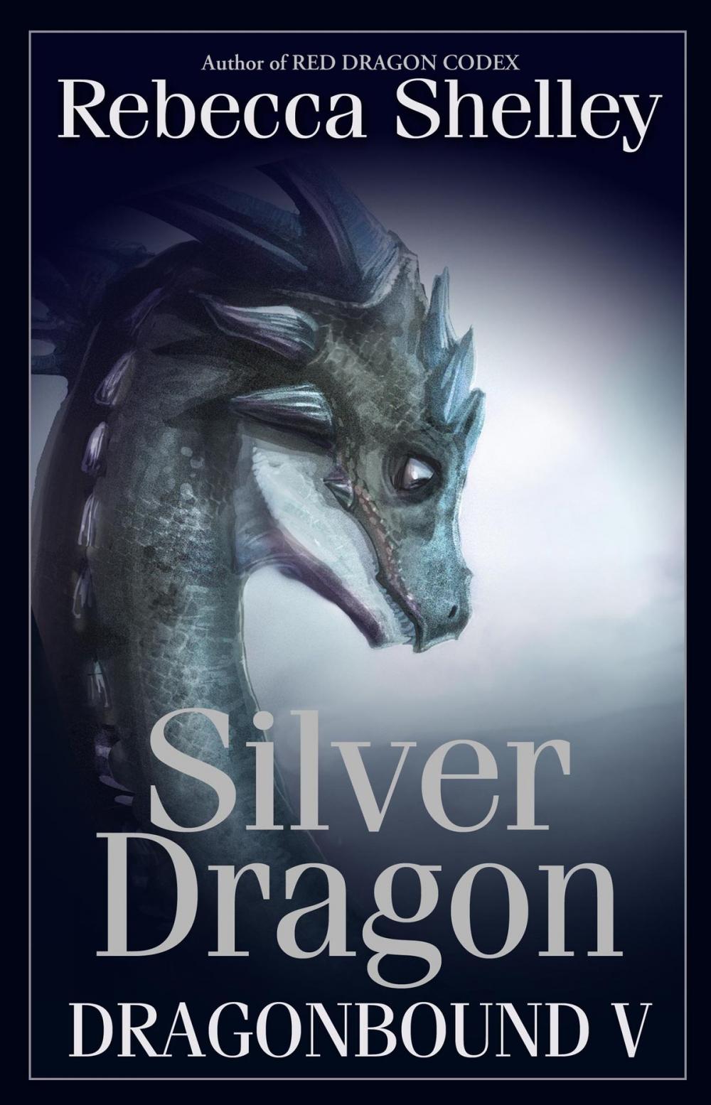 Big bigCover of Dragonbound V: Silver Dragon