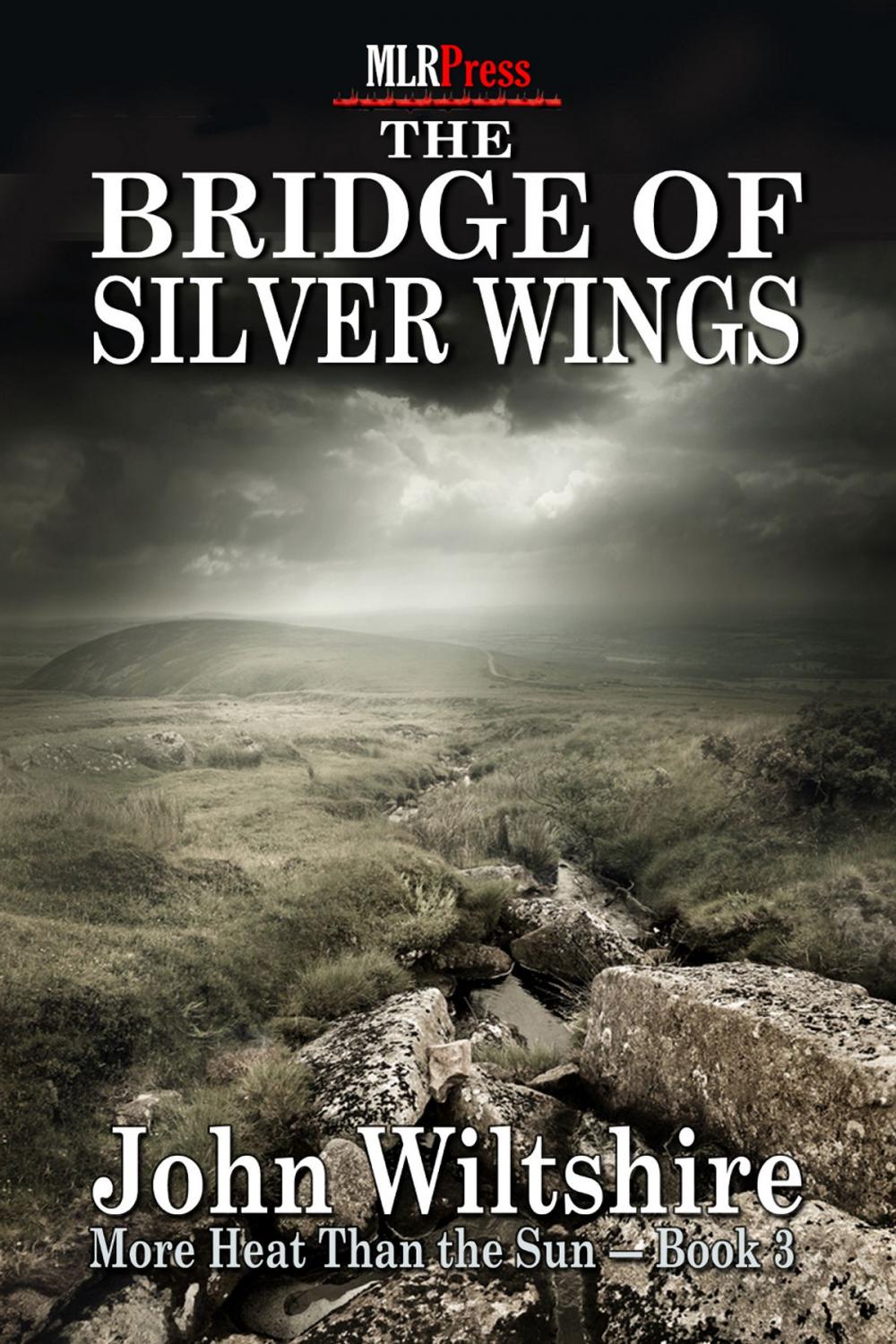 Big bigCover of The Bridge of Silver Wings