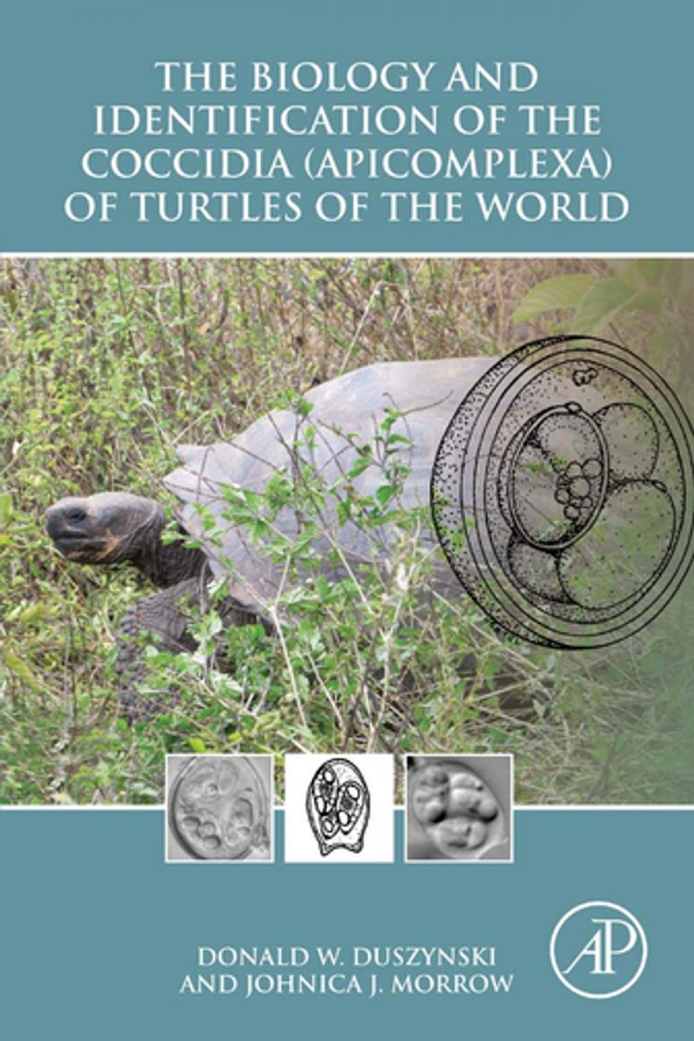 Big bigCover of The Biology and Identification of the Coccidia (Apicomplexa) of Turtles of the World