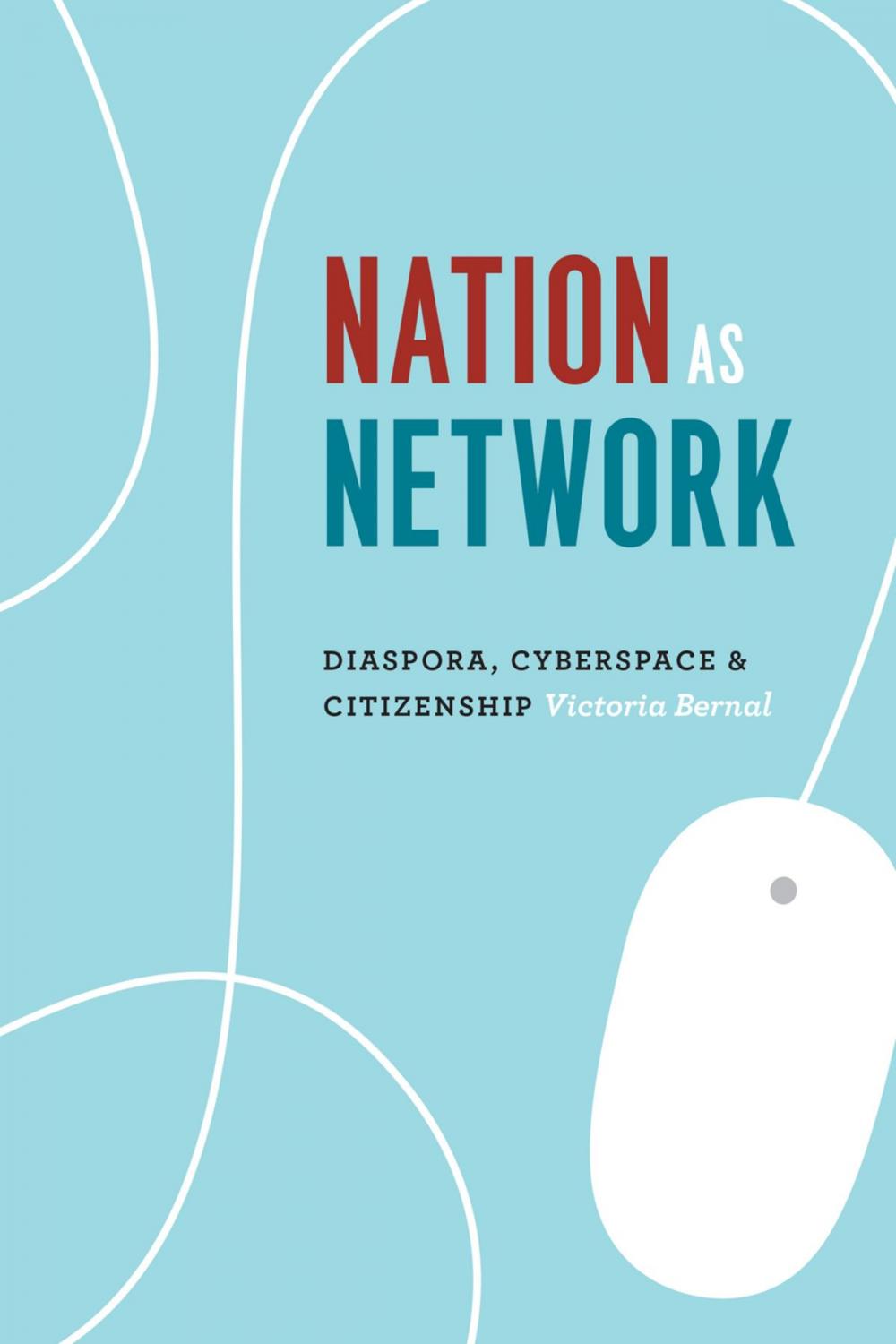 Big bigCover of Nation as Network