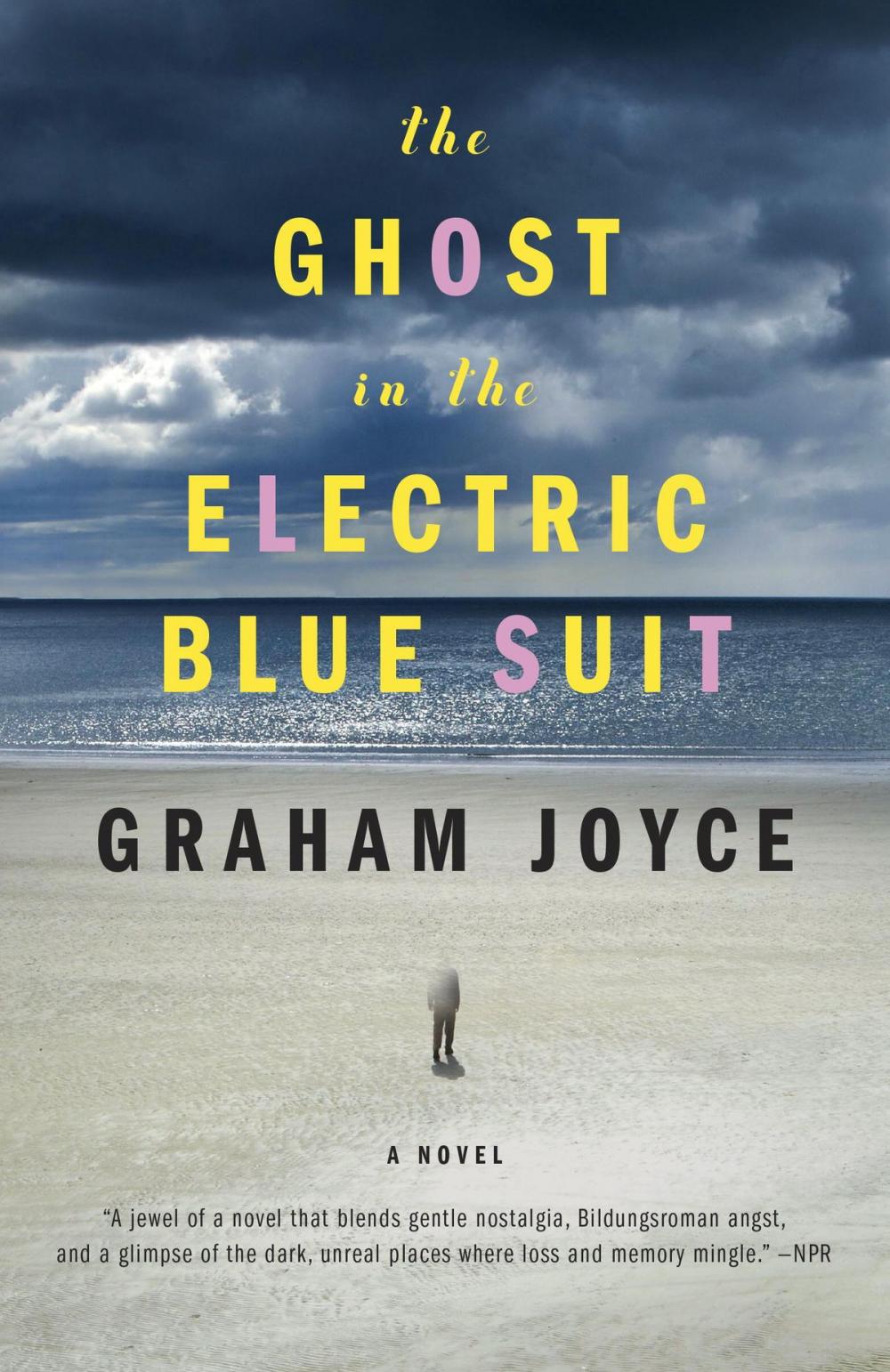 Big bigCover of The Ghost in the Electric Blue Suit