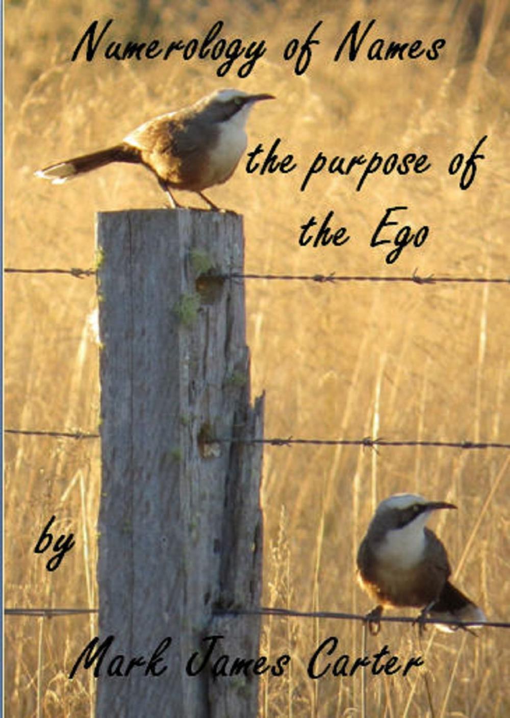 Big bigCover of Numerology of Names: the Purpose of the Ego