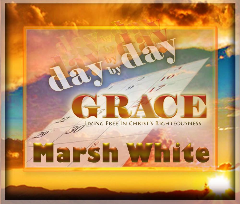 Big bigCover of Day by Day Grace