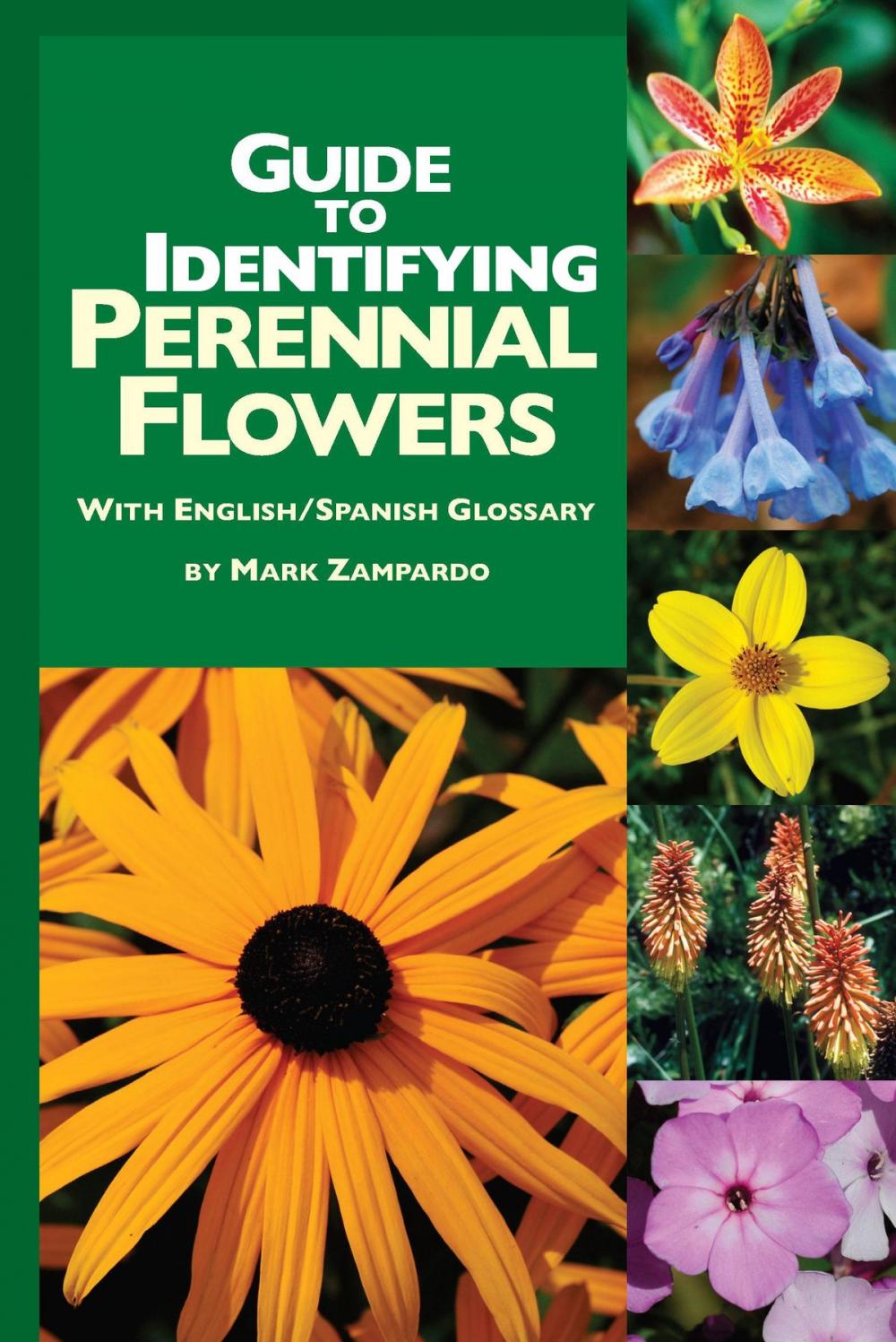 Big bigCover of Guide to Identifying Perennial Flowers