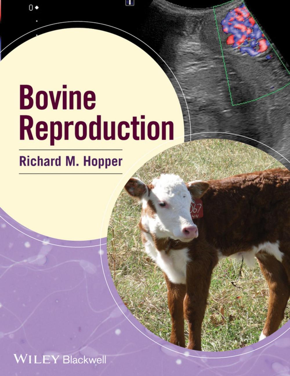 Big bigCover of Bovine Reproduction