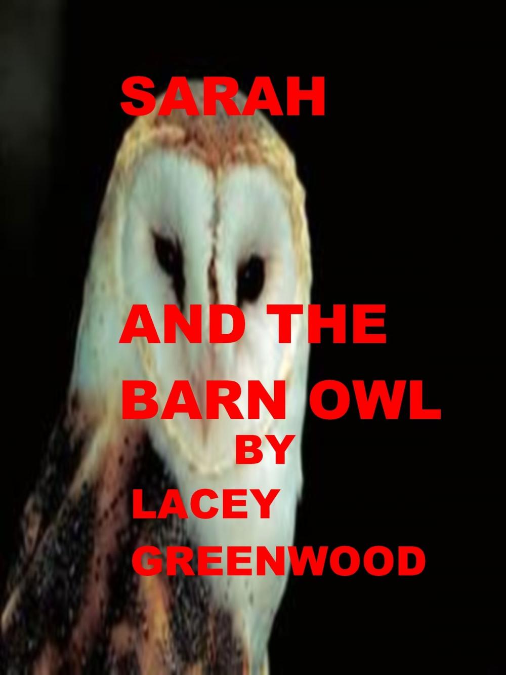 Big bigCover of Sarah and the Barn Owl