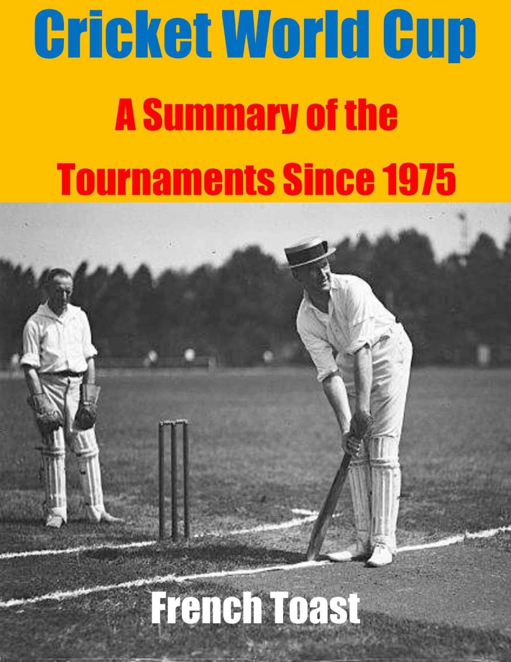 Big bigCover of Cricket World Cup: A Summary of the Tournaments Since 1975