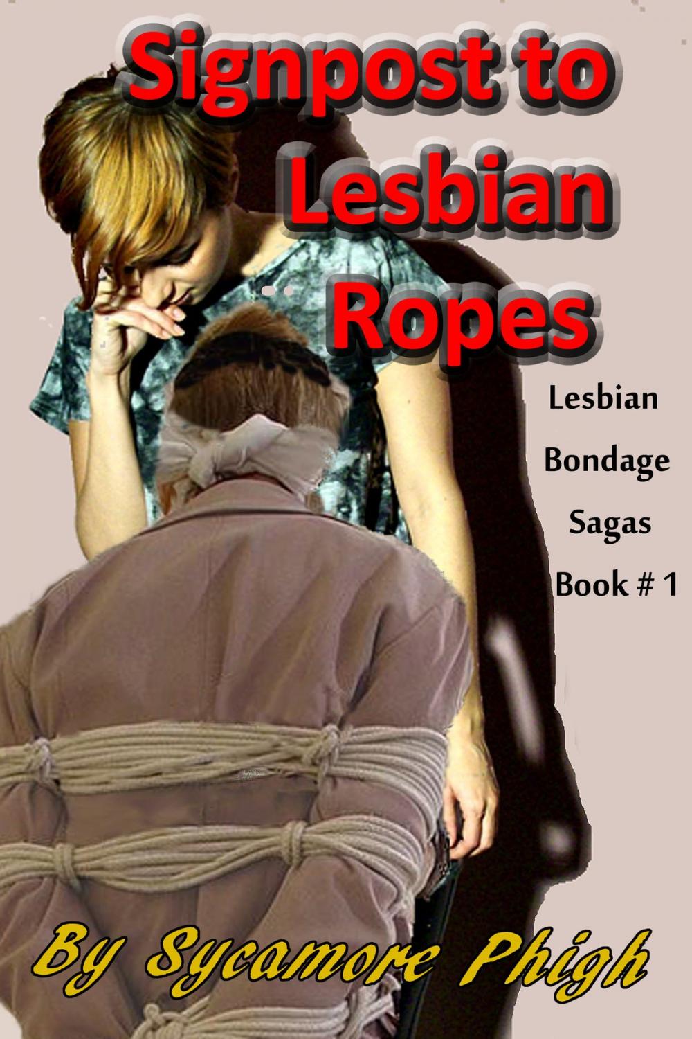 Big bigCover of Signpost to Lesbian Ropes