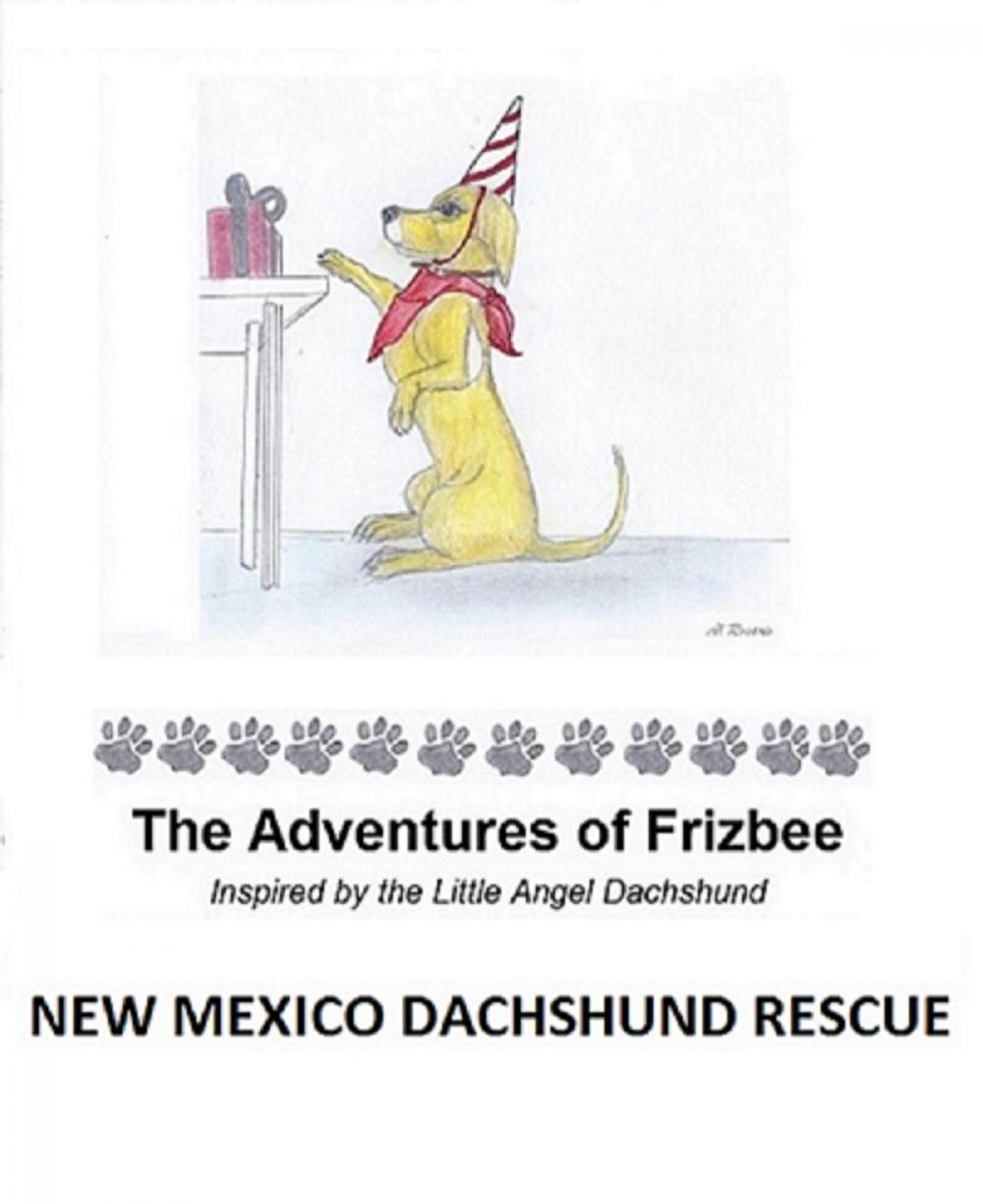 Big bigCover of The Adventures of Frizbee
