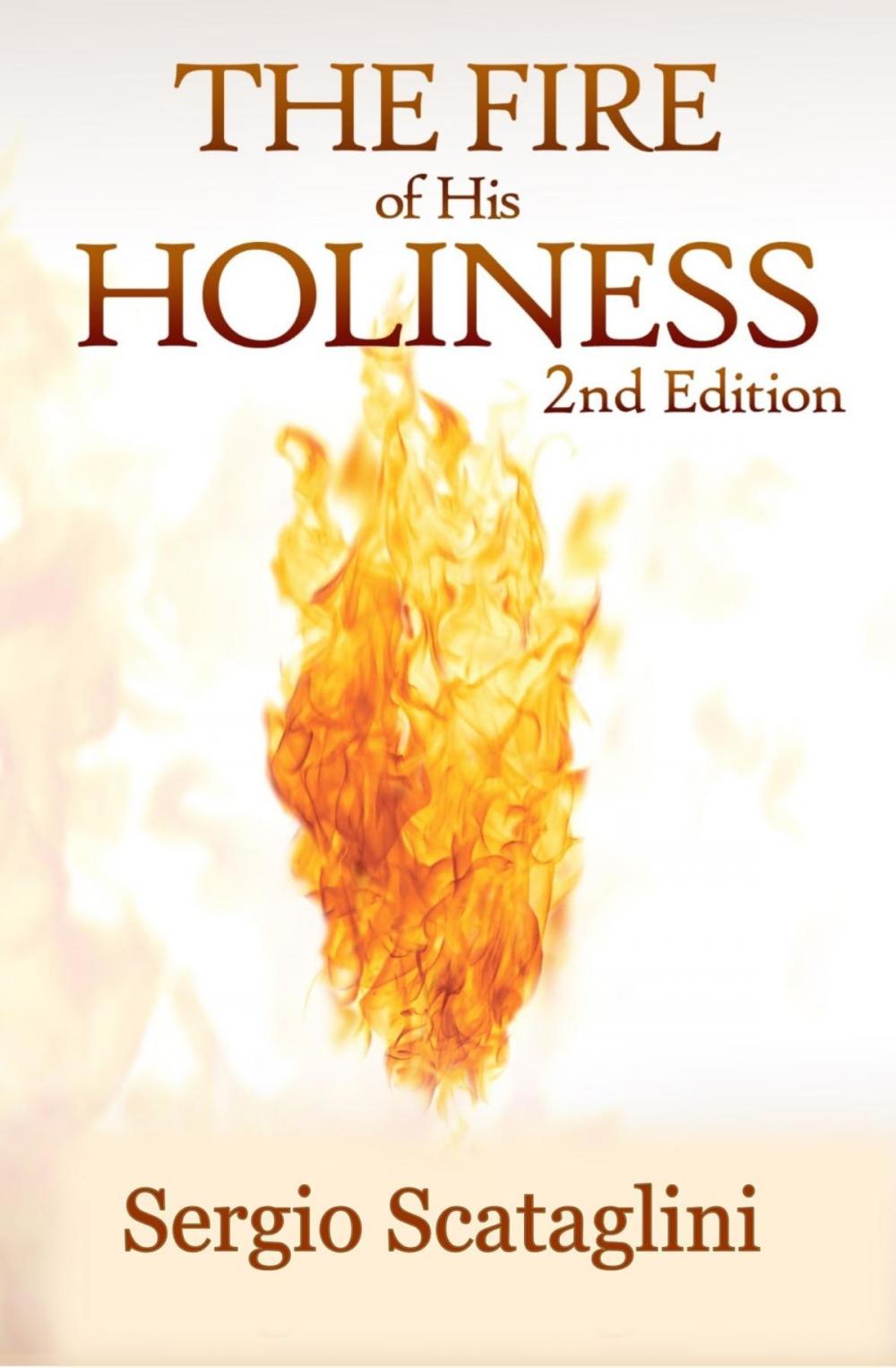 Big bigCover of The Fire of His Holiness