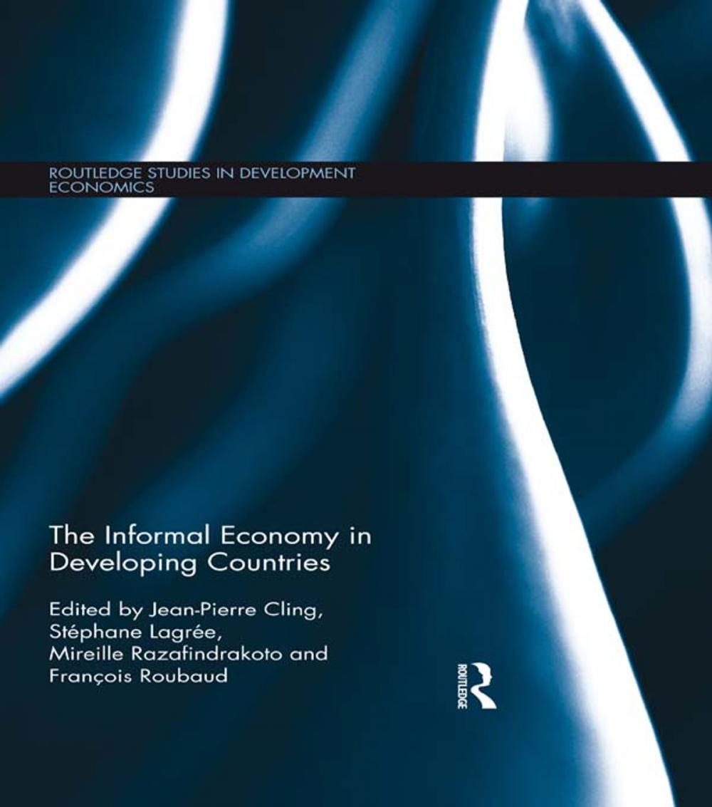 Big bigCover of The Informal Economy in Developing Countries
