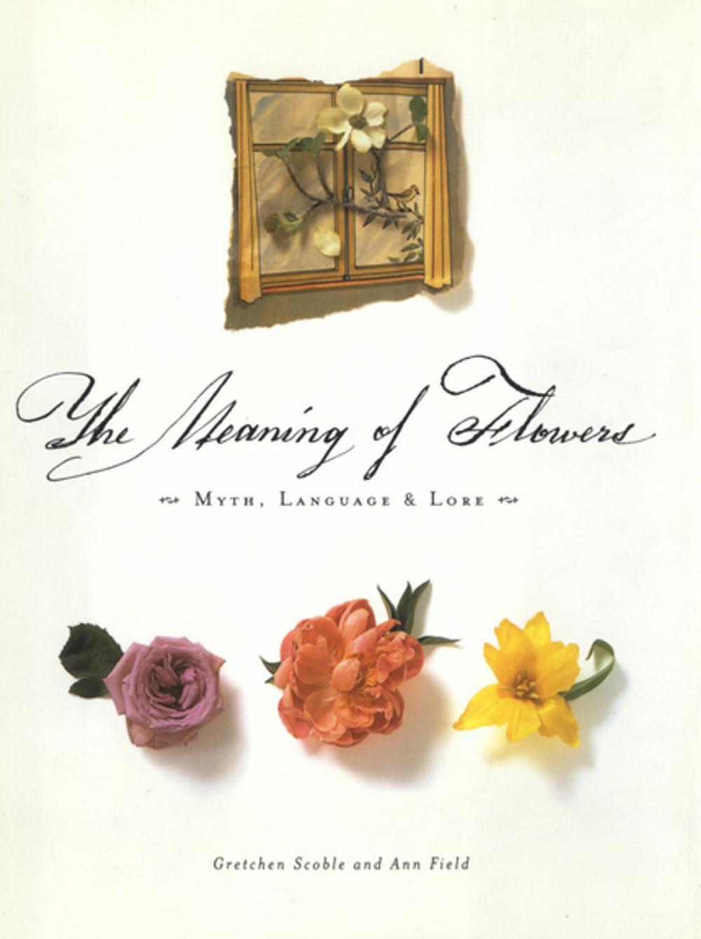Big bigCover of The Meaning of Flowers
