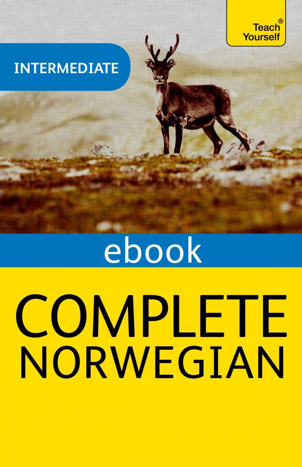 Big bigCover of Complete Norwegian (Learn Norwegian with Teach Yourself)