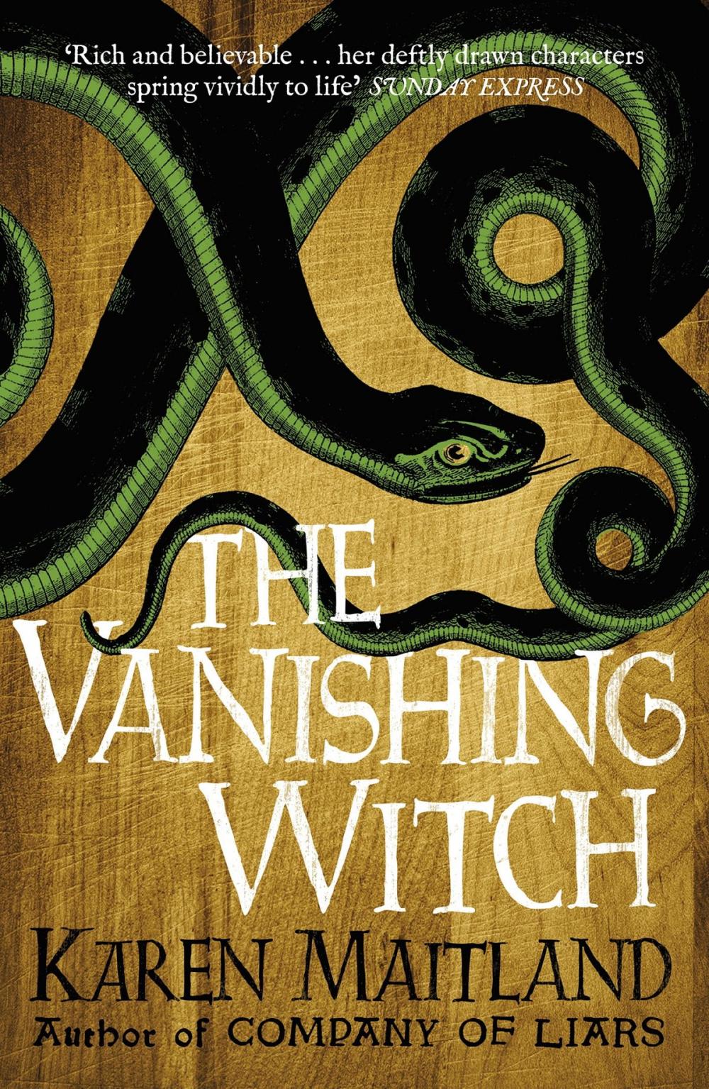 Big bigCover of The Vanishing Witch