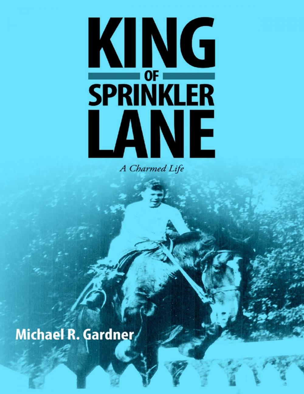 Big bigCover of King of Sprinkler Lane: A Charmed Life