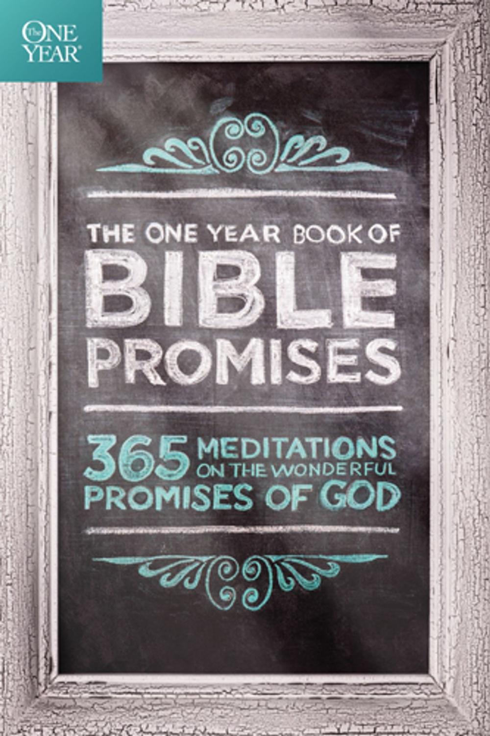 Big bigCover of The One Year Book of Bible Promises