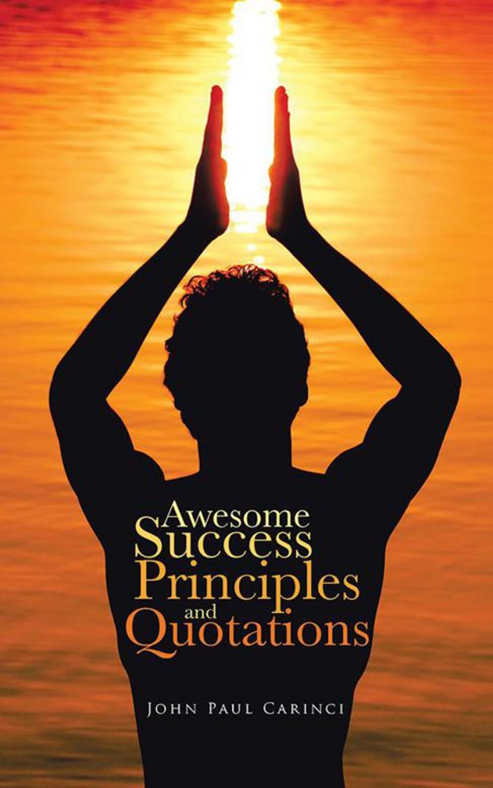 Big bigCover of Awesome Success Principles and Quotations