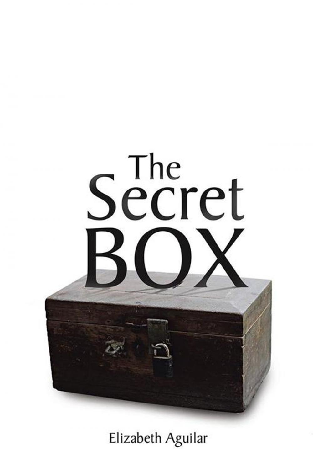 Big bigCover of The Secret Box
