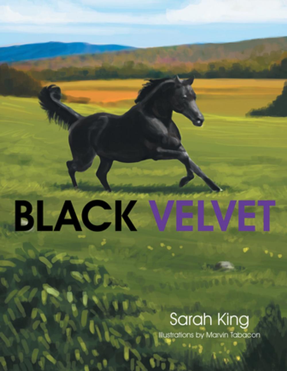 Big bigCover of Black Velvet