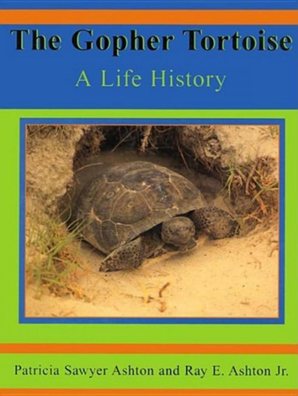 Big bigCover of The Gopher Tortoise