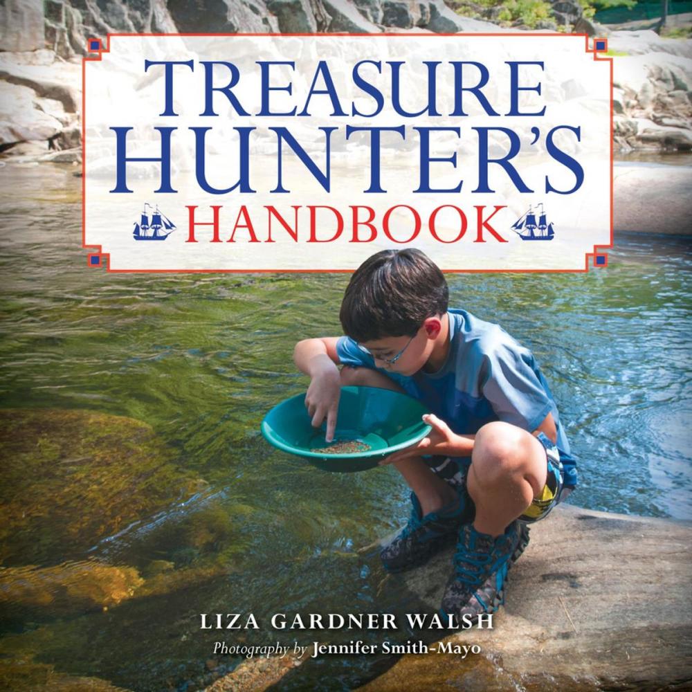 Big bigCover of Treasure Hunter's Handbook