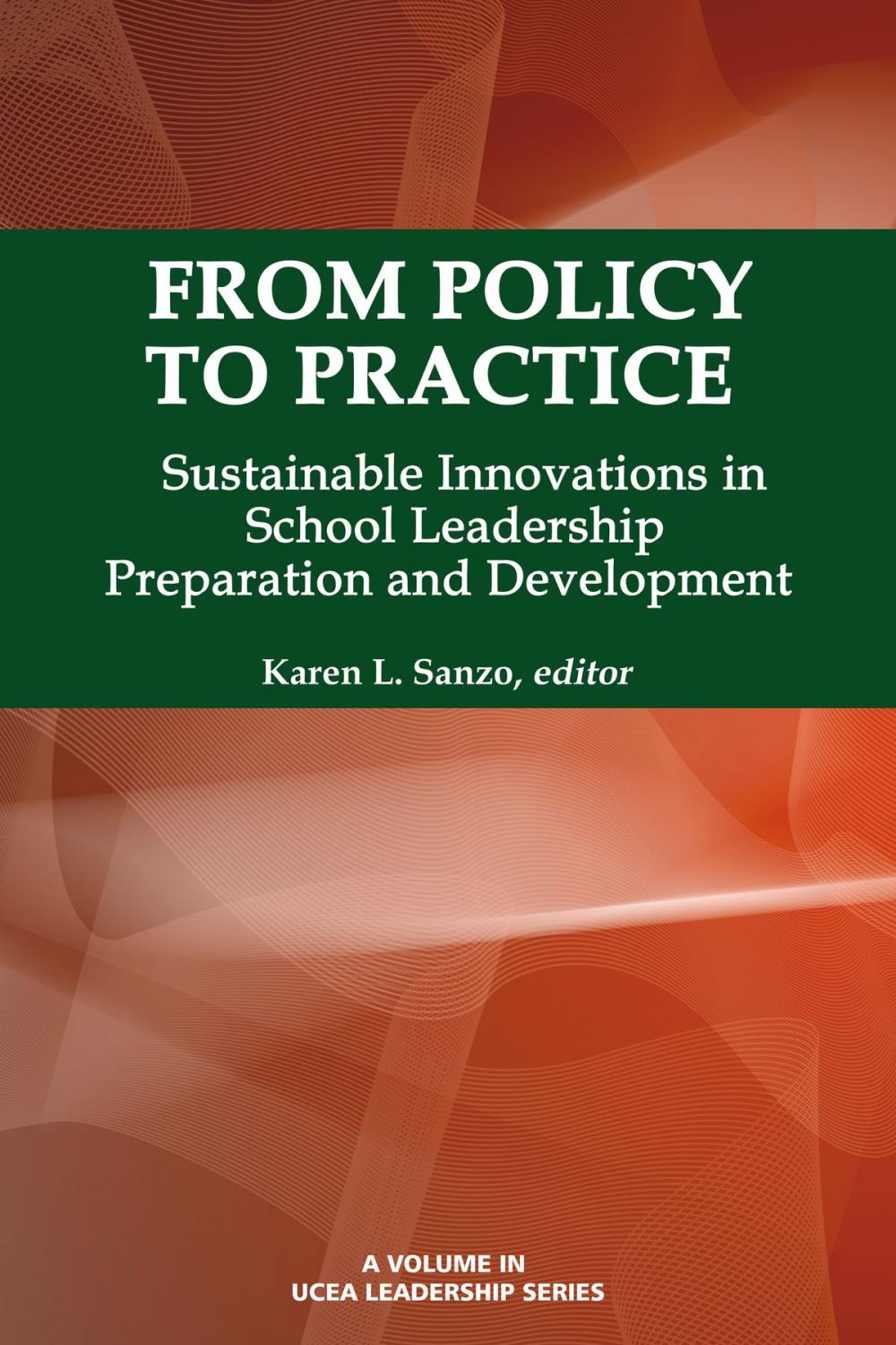 Big bigCover of From Policy to Practice
