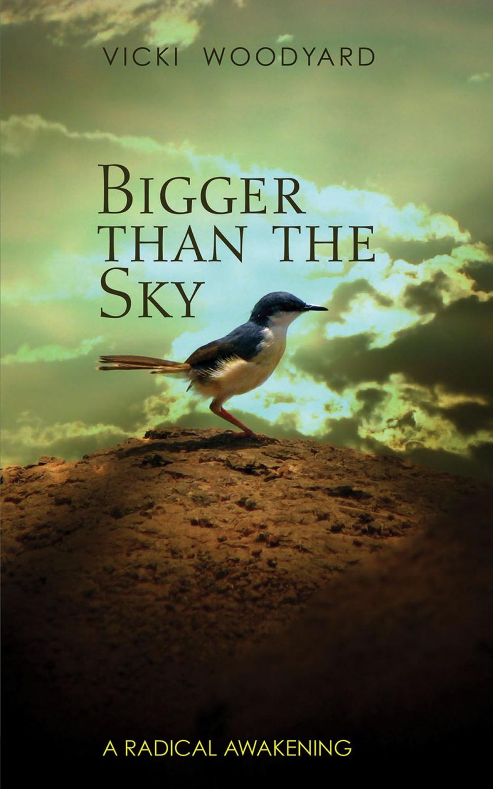 Big bigCover of Bigger Than the Sky