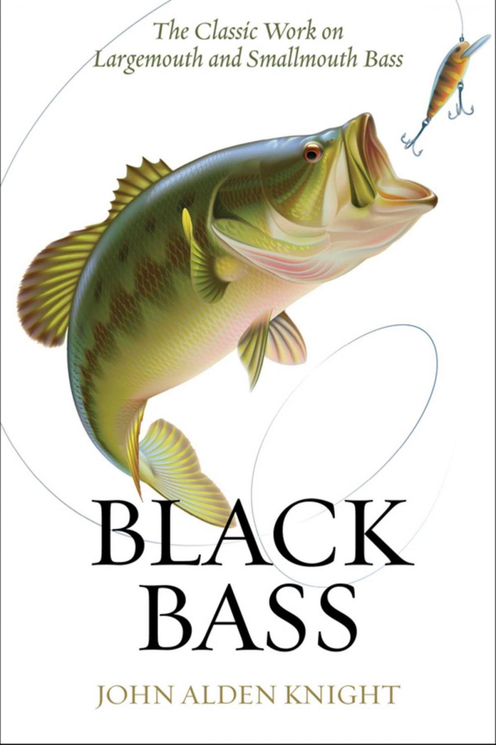 Big bigCover of Black Bass