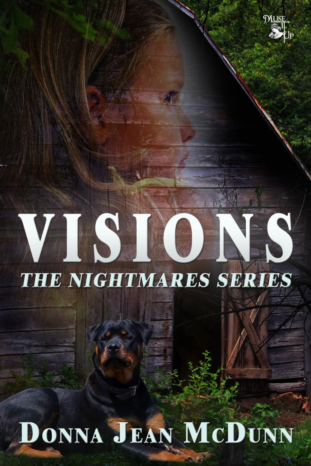 Big bigCover of Visions