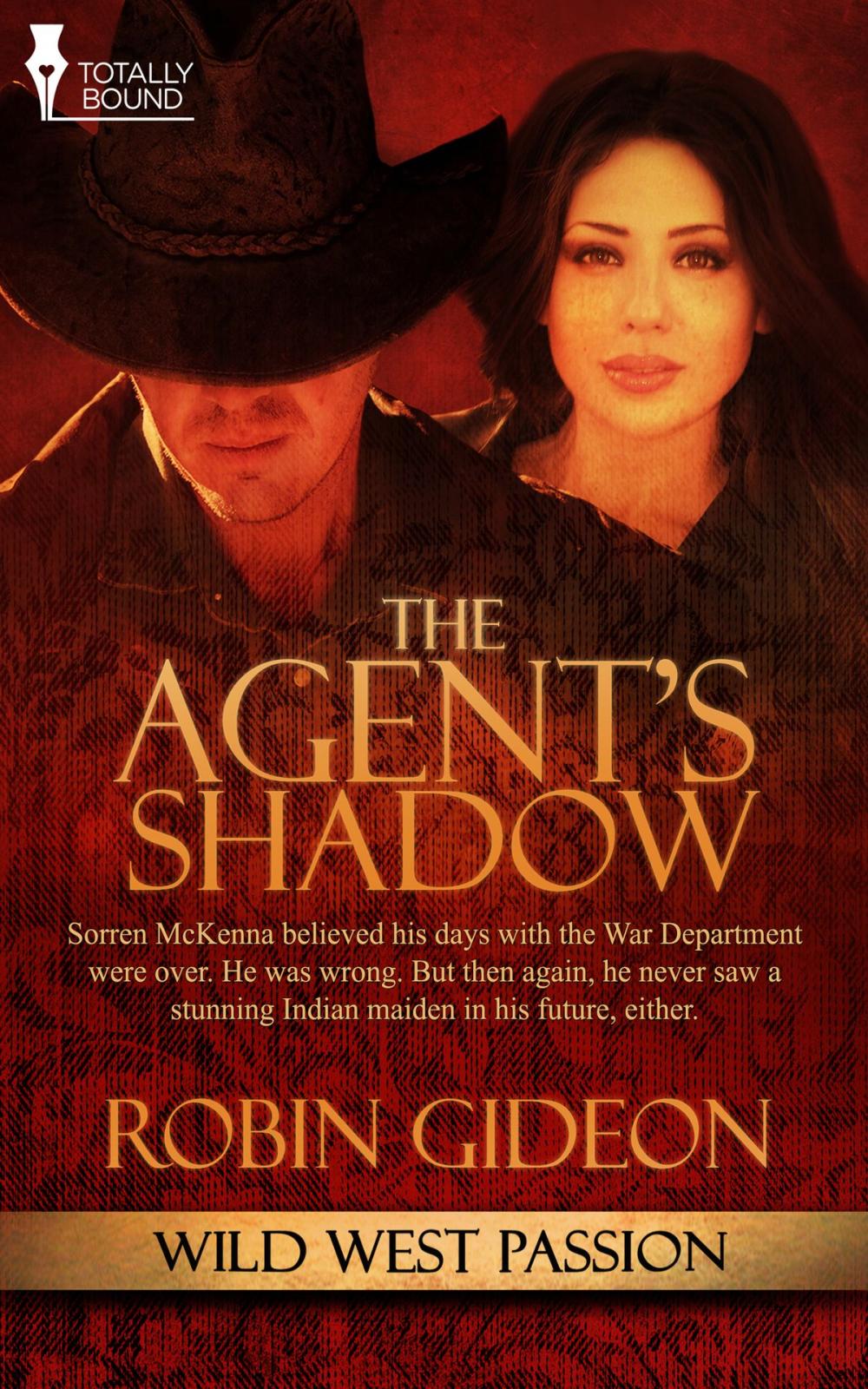 Big bigCover of The Agent's Shadow